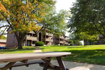 Courtyards and picnic areas with grills