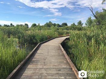 Courtney downs apartments running, biking and hiking trails
