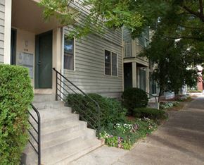 Cambridge apartment for rent - a house with stairs and bushes in front of it