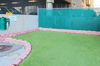 Outdoor pet park