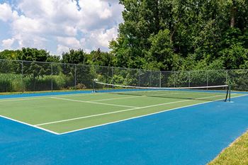 Tennis court