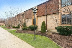 Amherst condo for rent - 55 Greenwich 1 Amherst - Condominium Rental