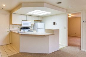 Williamsville condo for rent - 1250 Youngs Road #H