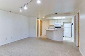 Williamsville condo for rent - 1250 Youngs Road #H