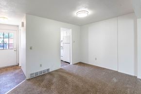 Amherst triplex for rent - A room with white walls and a brown carpet.