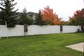 Amherst triplex for rent - the backyard of a house with a white fence and grass