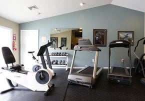 Westville apartment for rent - A gym with a variety of cardio equipment including treadmills, elliptical machines, and a stationary bike.