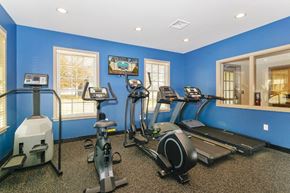Lancaster apartment for rent - A gym with a blue wall and a treadmill, elliptical trainer, and a stationary bike.