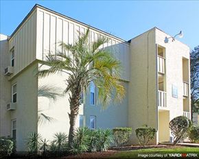 Tallahassee apartment for rent - a palm tree in front of a building