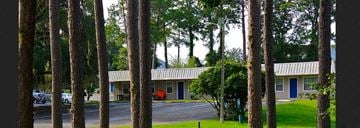 Gainesville apartment for rent - a street with trees in front of a building