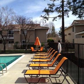 Davis apartment for rent - Pool and lounge chairs l The Grove Apartments in Davis CA