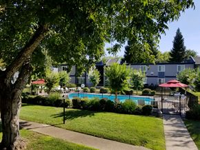 Chico apartment for rent - Swimming Pool at Forest Park apts | Chico, CA