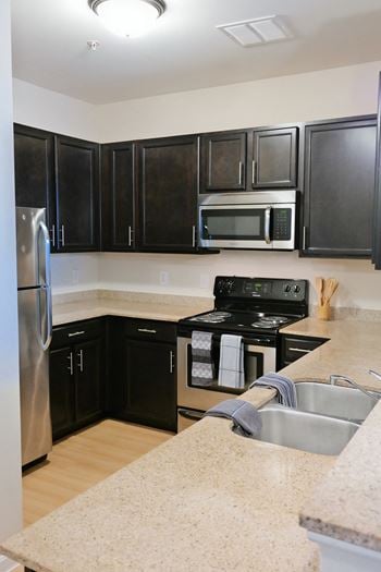 Stainless steel appliances - oven, microwave, fridge