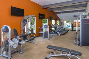 Simi Valley apartment for rent - a gym with weights and cardio equipment in a hotel gym