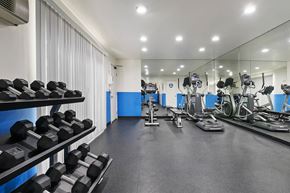 Los Angeles apartment for rent - a gym with cardio equipment and weights on the floor
