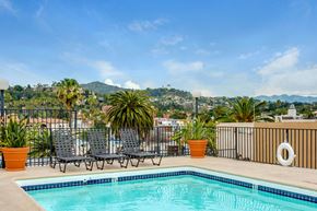 Los Angeles apartment for rent - A pool with chairs and plants on a patio with a view of the city.