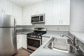Los Angeles apartment for rent - a kitchen with a sink and a stove and a refrigerator