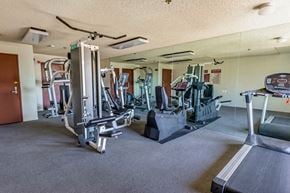 Los Angeles apartment for rent - the gym is equipped with cardio equipment and weights