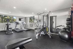West Hollywood apartment for rent - A spacious home gym with a variety of equipment.