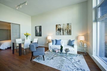 Toronto apartment for rent - A living room with a grey rug and a white couch.