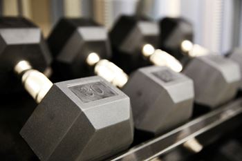 Free weights in gym