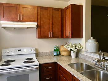 Fully-equipped upscale kitchen