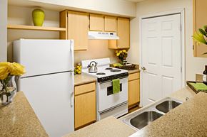 Arlington apartment for rent - Kitchen