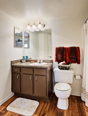 Denton apartment for rent - Bathroom