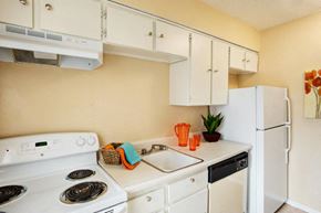 San Antonio apartment for rent - Kitchen