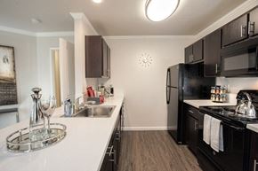 Manteca apartment for rent - Kitchen Laurel Glen Apts For Rent in Manteca CA 95336