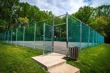 Ashley basketball court photo 10