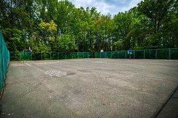 Ashley basketball court photo 11