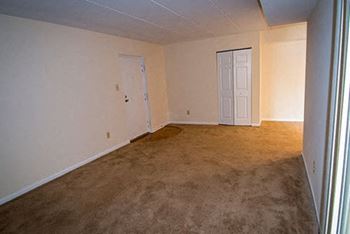 Ashley apartments carpeting