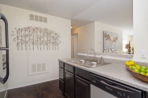 North Royalton apartment for rent - the preserve at ballantyne commons apartments kitchen with stainless steel sink and dishwasher