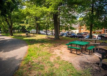 Maplewood villa picnic area 1