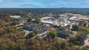 Tampa apartment for rent - A bird's eye view of a residential area surrounded by trees.