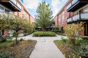 Chicago apartment for rent - the walkway between two apartment buildings with trees and bushes