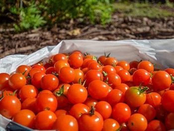Reservable community garden