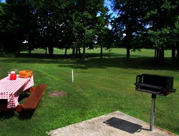 Bbq/picnic area