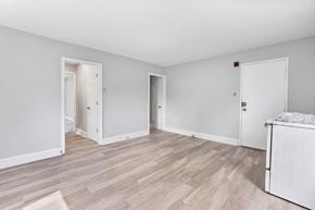 Philadelphia apartment for rent - a renovated living room with white walls and wood floors