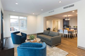 Carpeted lounge