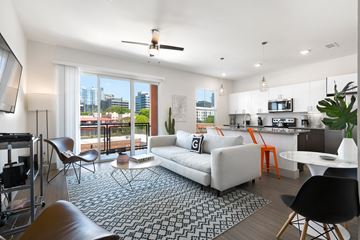 Dallas apartment for rent - an open living room and kitchen with a couch and a rug