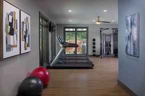 Alpharetta apartment for rent - Fitness Center with Treadmills, strength training and large windows
