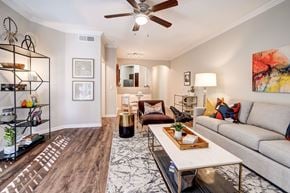 Austin apartment for rent - a living room with couches and a coffee table