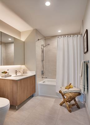 Chicago apartment for rent - a bathroom with a shower and a sink and a toilet