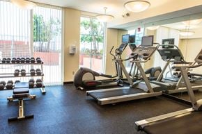 Fort Lauderdale apartment for rent - cardio and weight machines at fitness center