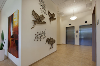 Elevators