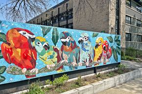 Oak Park apartment for rent - A colorful mural of birds on a wall.
