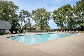 Cincinnati apartment for rent - A large outdoor swimming pool surrounded by trees and lounge chairs.
