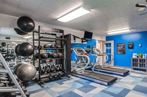 Avalon apartment for rent - a gym with weights and cardio equipment in a building with blue walls
